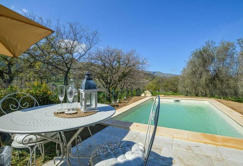 Amazing Home In Feliceto With 1 Bedrooms, Private Swimming Pool And Outdoor Swimming Pool