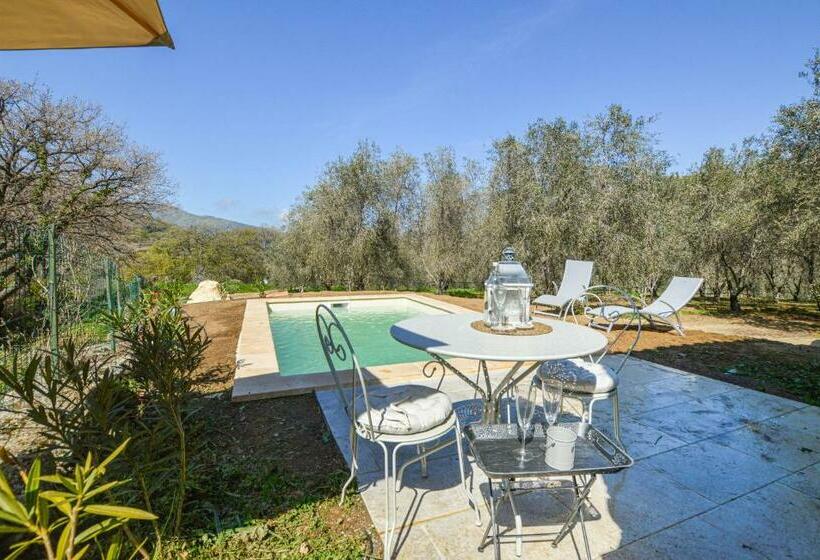 Amazing Home In Feliceto With 1 Bedrooms, Private Swimming Pool And Outdoor Swimming Pool