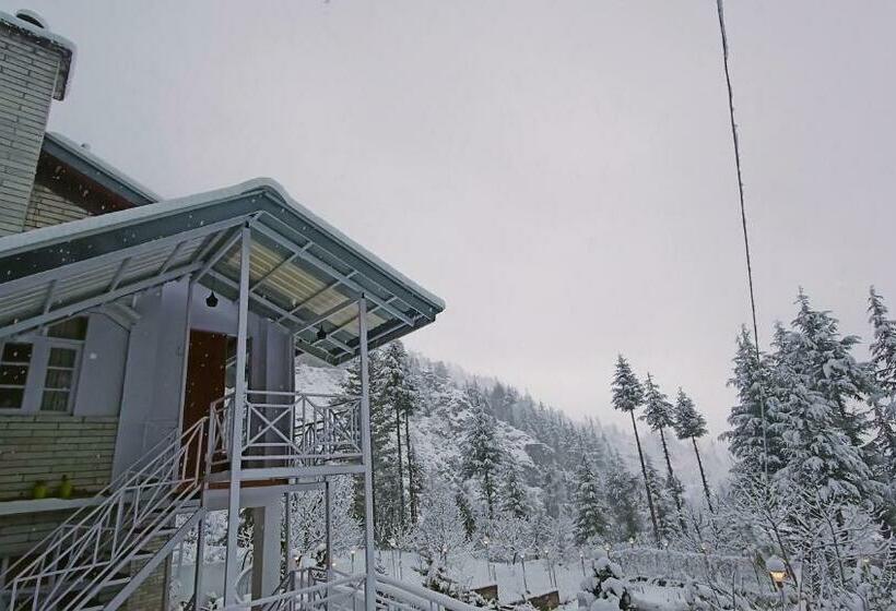 Baan By Snow City Farm
