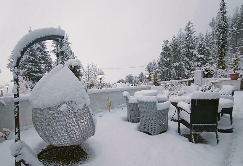 Baan By Snow City Farm