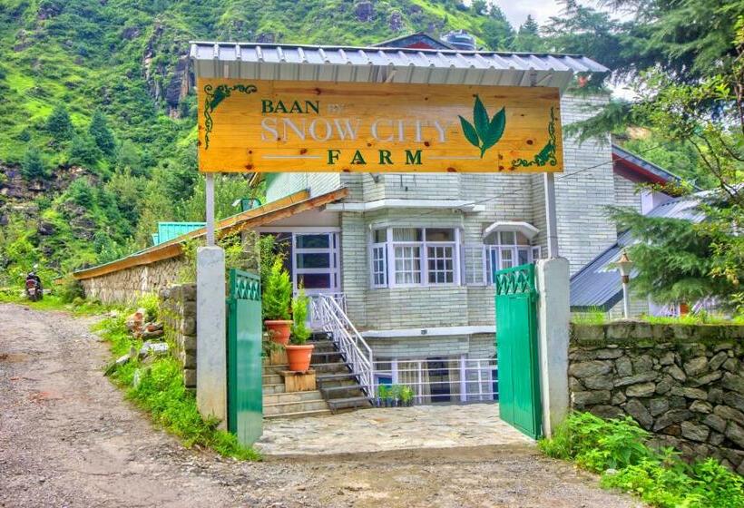 Baan By Snow City Farm