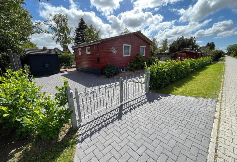 Meerbude Am Großen Meer   Ferienhaus