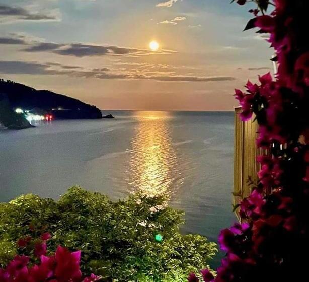 Bella Di Notte