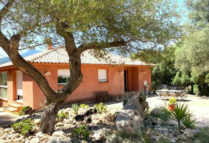 Villa A Liccia