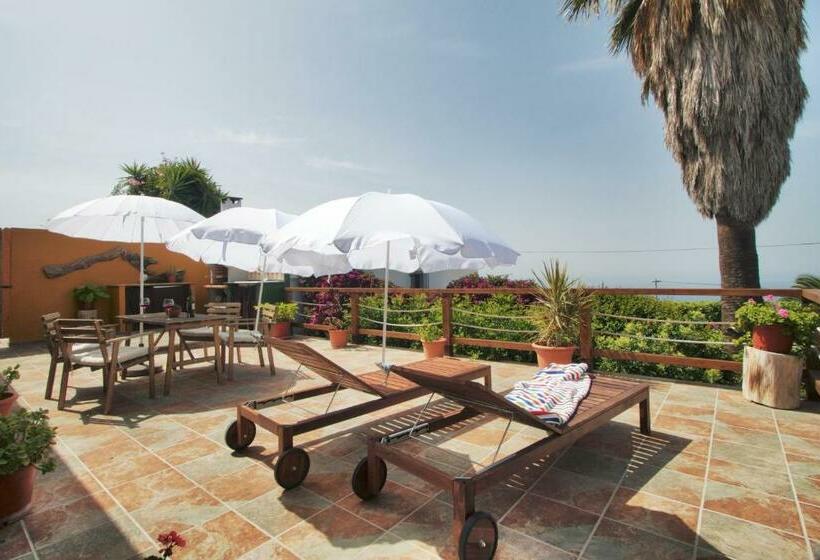 Casa Lagarto