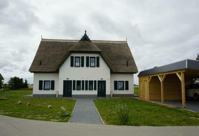 Nordlicht Ii