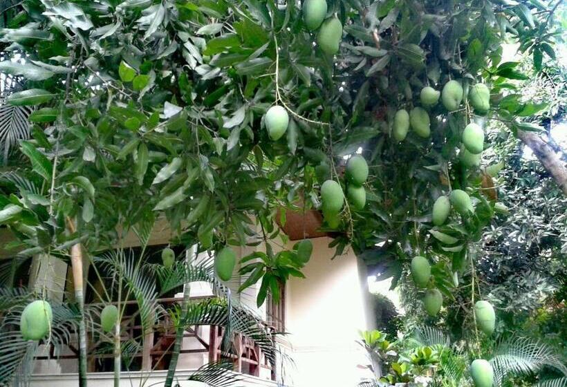Jungle Garden Villa