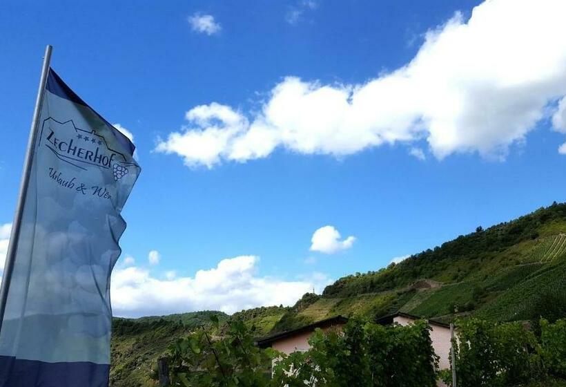 Urlaubsweingut Zecherhof