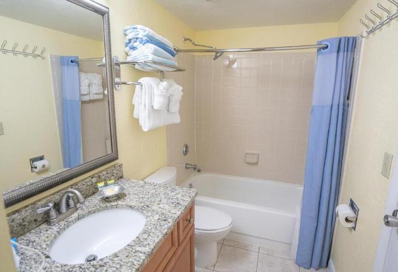 Fotos del hotel Blue Tree Resort At Lake Buena Vista:  11