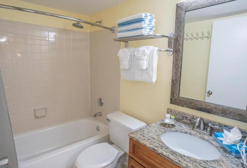 Fotos del hotel Blue Tree Resort At Lake Buena Vista:  10