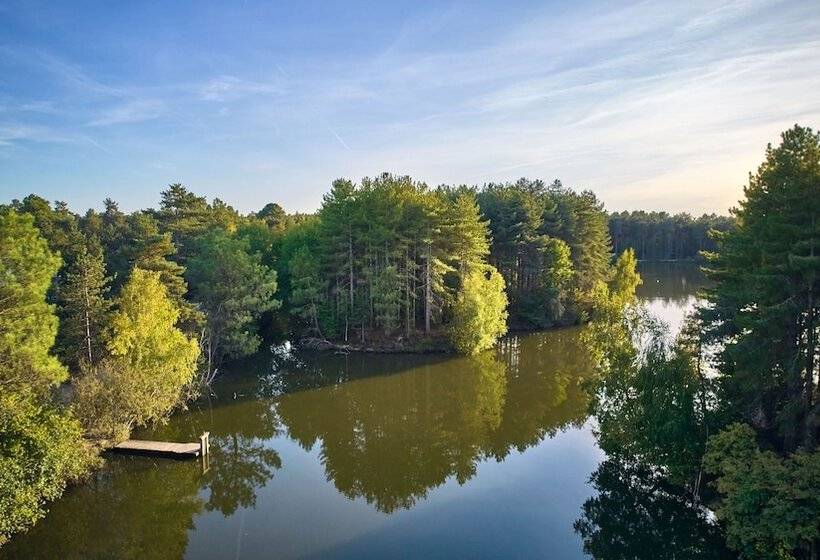 فندق Center Parcs Les Hauts De Bruyeres