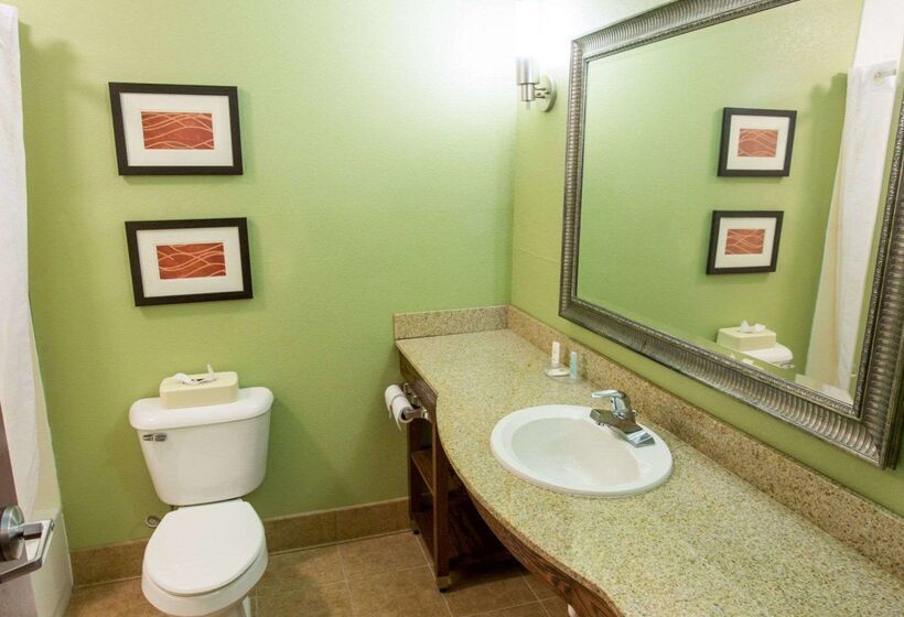 בית מלון כפרי Comfort Inn New Orleans Airport South