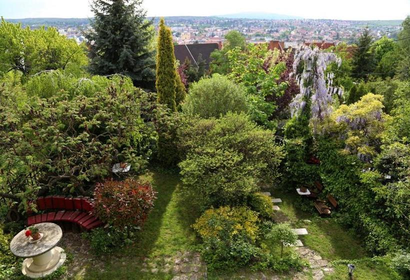 فندق Panorama Panzio