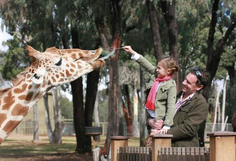 מוטל The Palms Dubbo