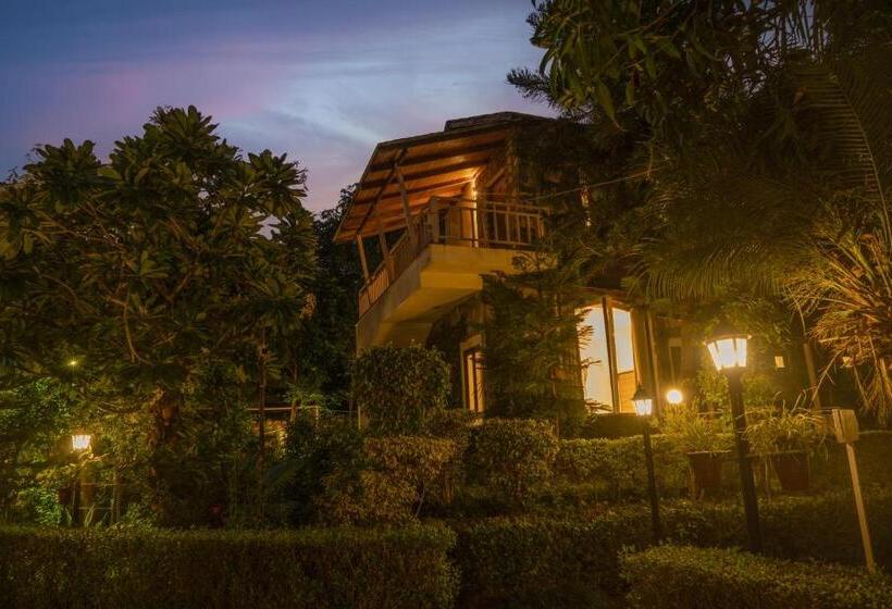 Wood Castle Spa & Resort