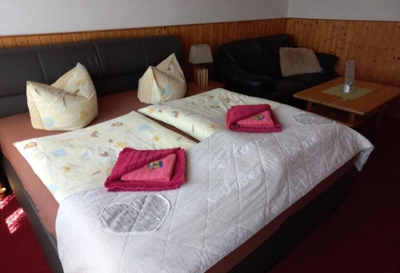 Pension Zur Elbe