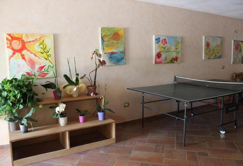 B&b Chorisia