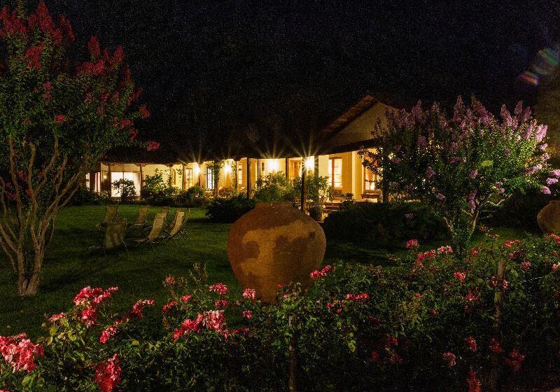 فندق Boutique Almahue