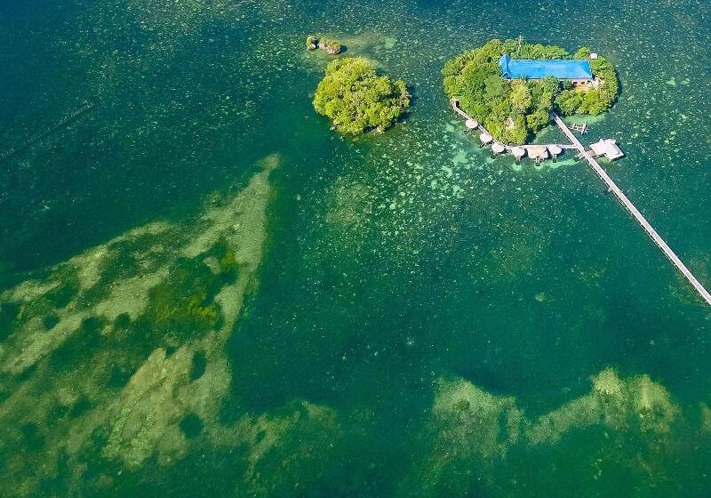 فندق Enchanted River Rock Island Resort