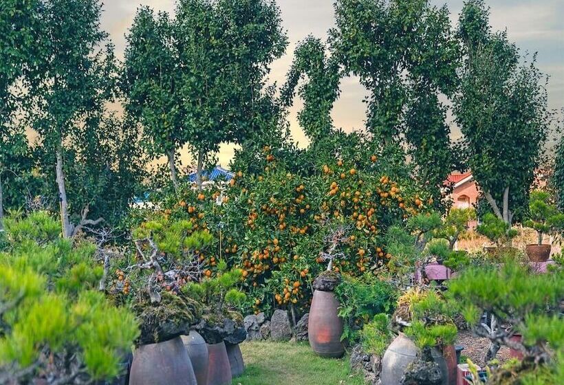 Diorem Pension
