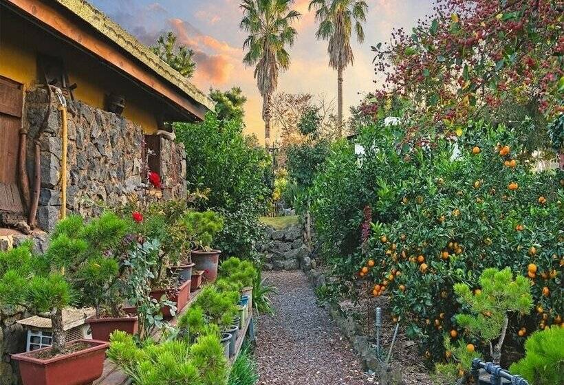 Diorem Pension