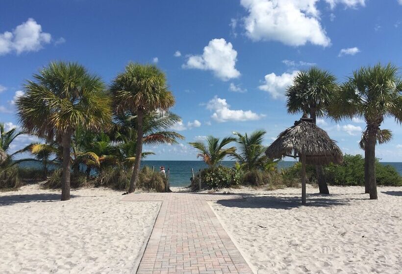 هتل Beach Haus Key Biscayne