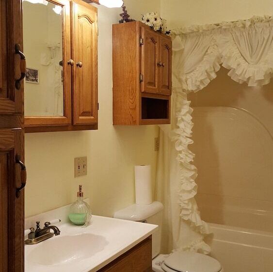 בית מלון כפרי Allegan Country Inn