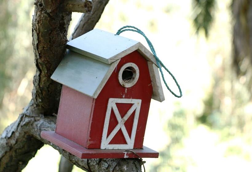 هتل Posada Del Parque Lodge
