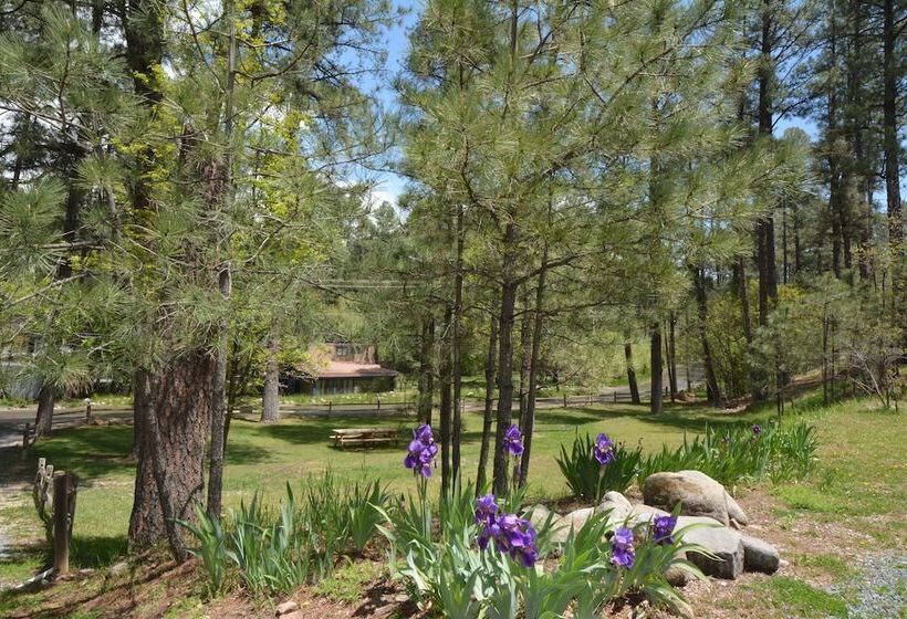هتل Canyon Cabins