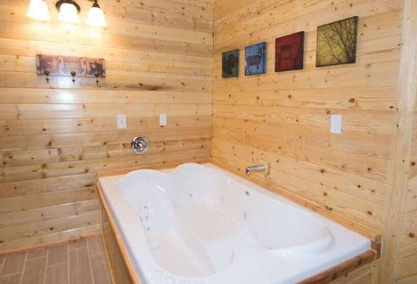 هتل Canyon Cabins