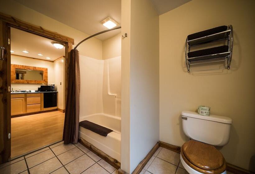 هتل The Walnut Street Inn