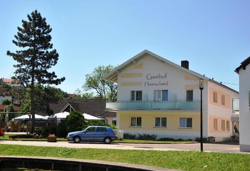 ホテル Gasthof Und Pension Haunschmid