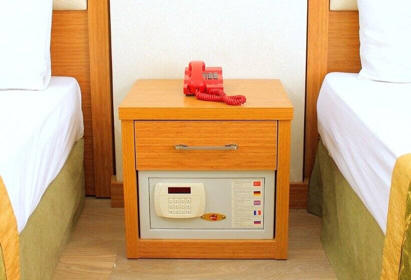 Fotos del hotel Buyuk Paris:  8