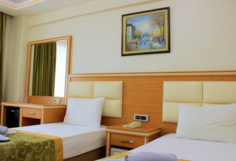 Fotos del hotel Buyuk Paris:  14