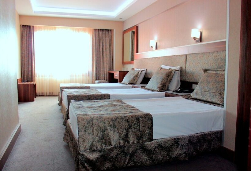 Fotos del hotel Buyuk Paris:  22