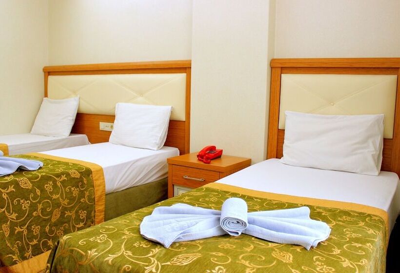 Fotos del hotel Buyuk Paris:  4