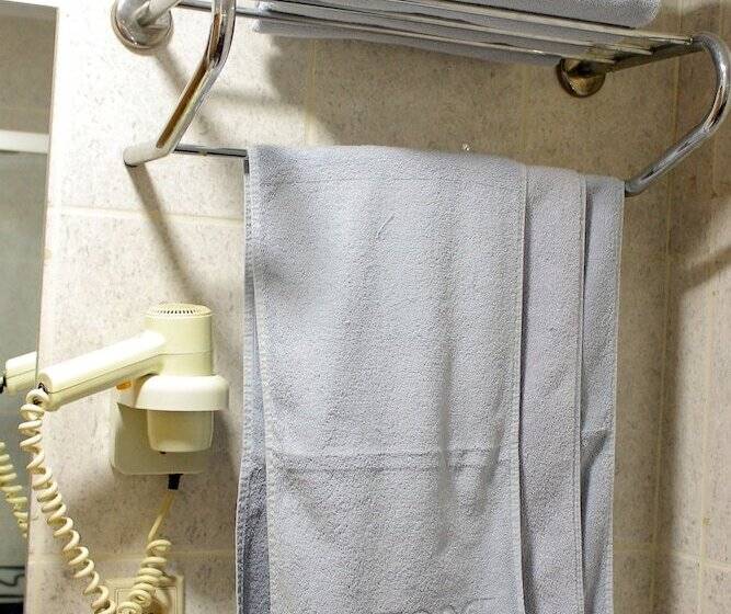 Fotos del hotel Buyuk Paris:  19