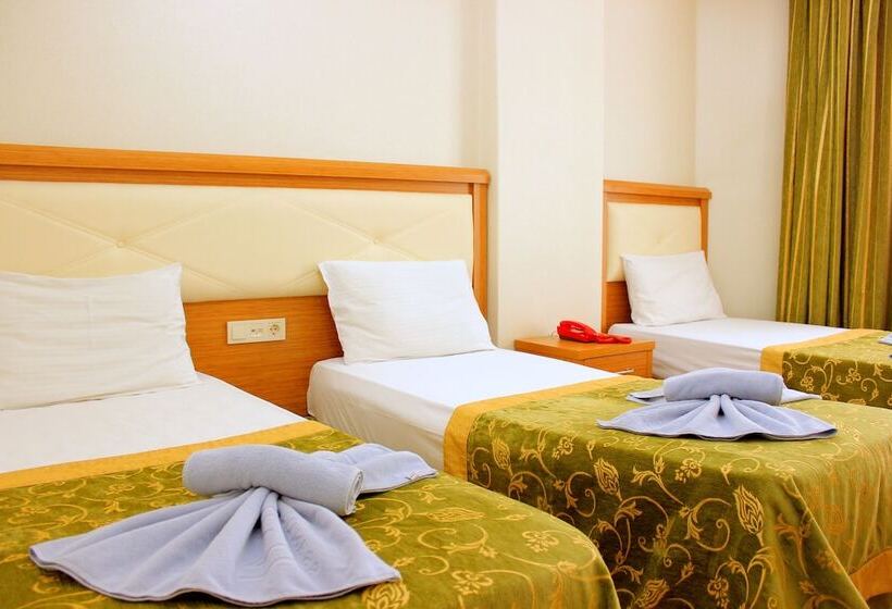 Fotos del hotel Buyuk Paris:  5