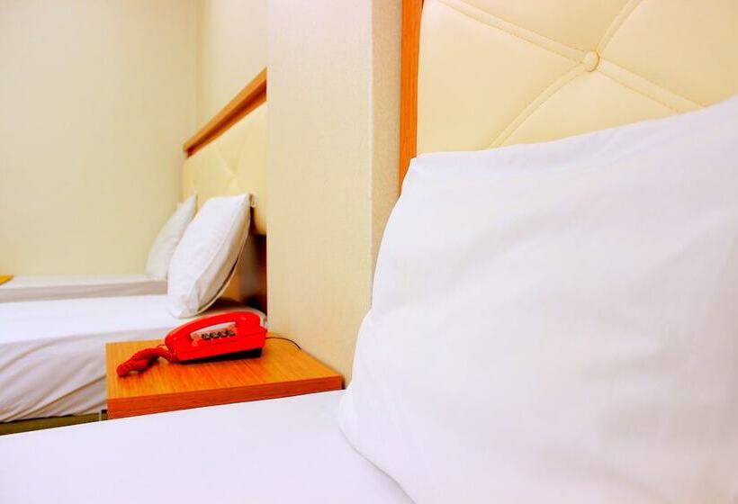 Fotos del hotel Buyuk Paris:  6