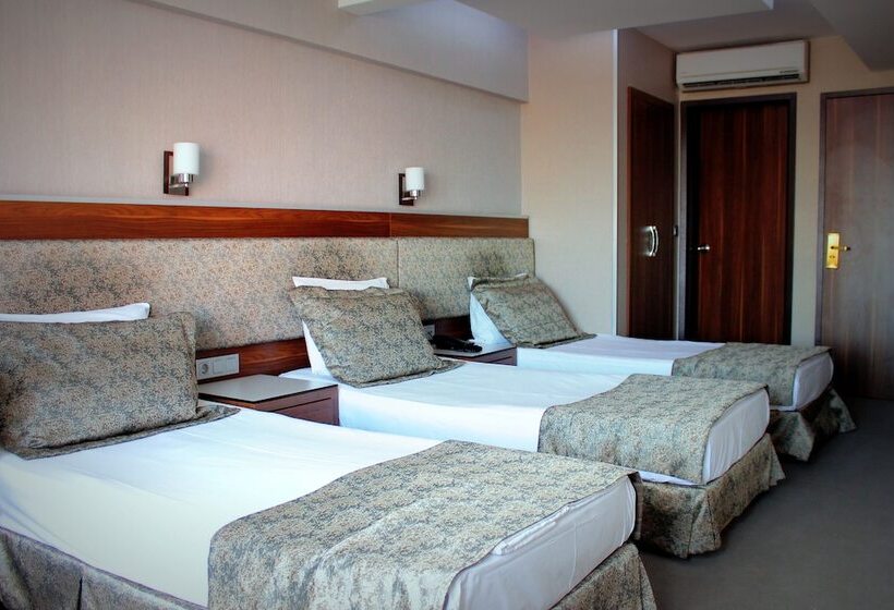 Fotos del hotel Buyuk Paris:  16