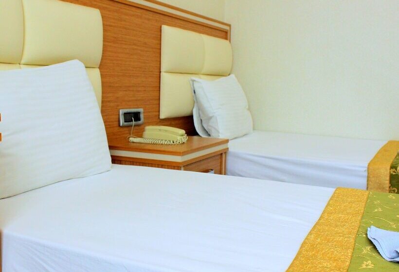 Fotos del hotel Buyuk Paris:  13