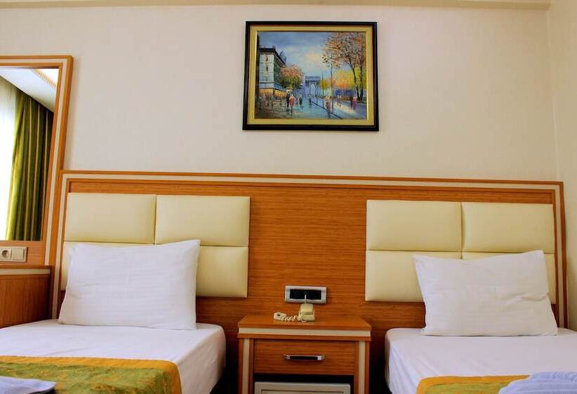 Fotos del hotel Buyuk Paris:  11