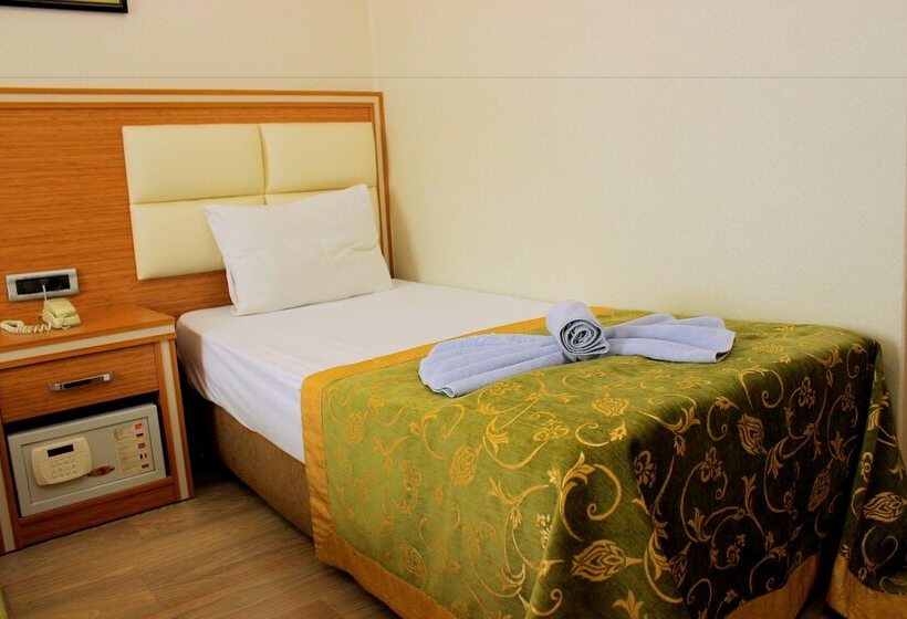 Fotos del hotel Buyuk Paris:  25