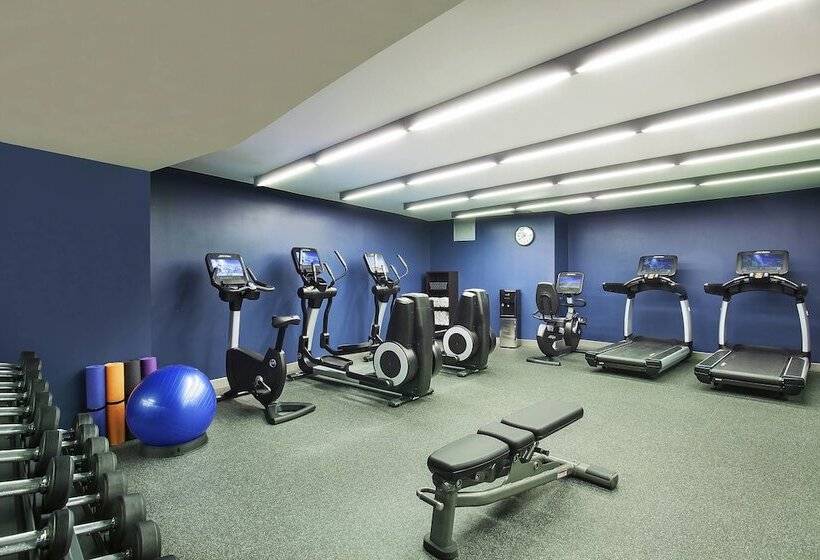 Fotos del hotel Four Points By Sheraton New York Downtown:  9