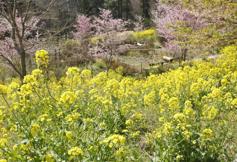 Fotos del hotel Hakonenomori Okada:  40