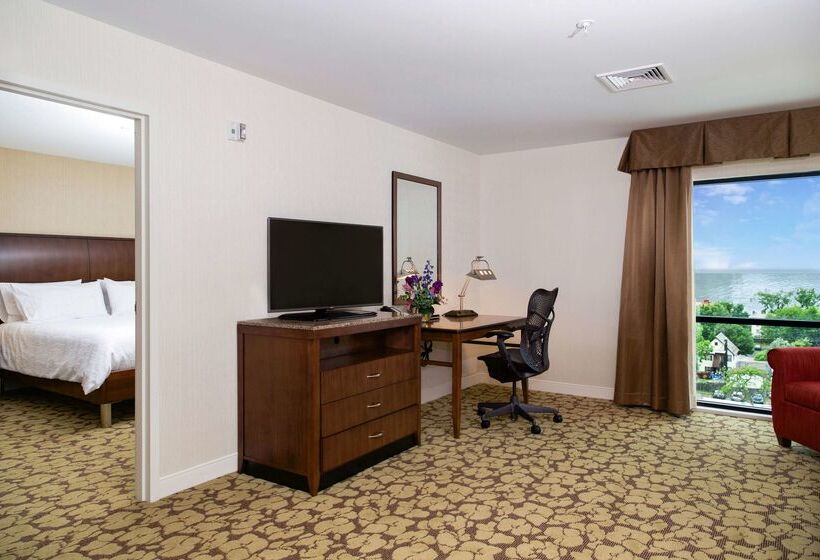 هتل Hilton Garden Inn Burlingtondowntown