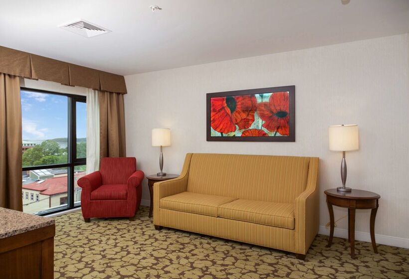 هتل Hilton Garden Inn Burlingtondowntown