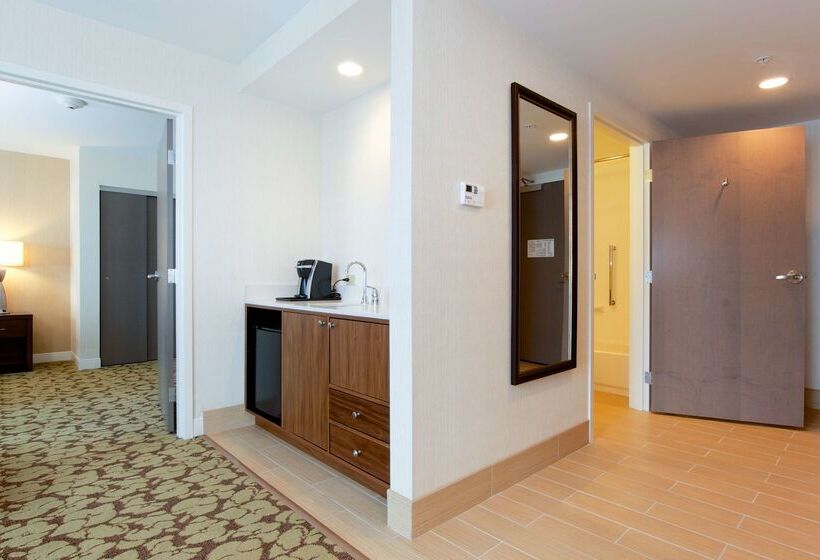 هتل Hilton Garden Inn Burlingtondowntown