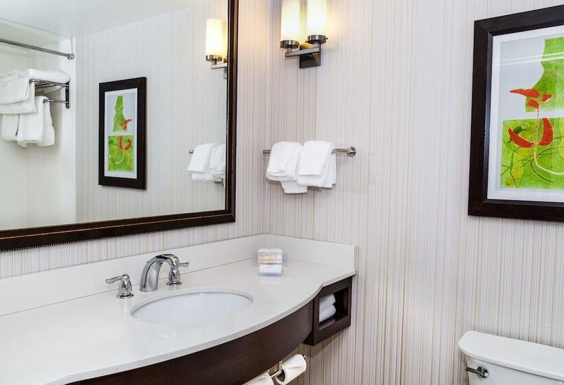 هتل Hilton Garden Inn Burlingtondowntown