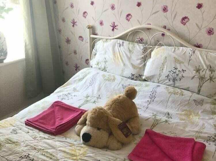 Fotos del hotel Jeanne:  2